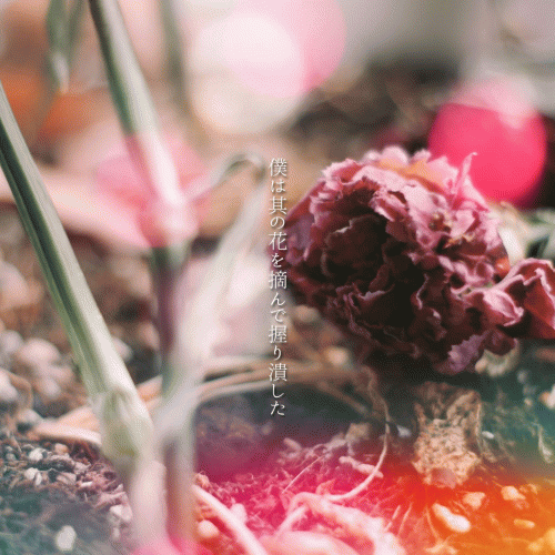 Boku wa Sono Hana wo Tsunde Nigiritsubushita - Twilight Osaka Konton Toshi